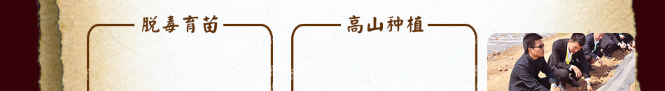 AWJS音符葡萄酒加盟口感醇
