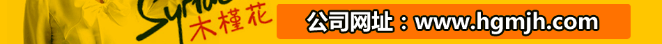 木槿花，木槿花家居，創意家居用品，韓之戀