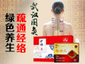 武漢國灸養生產品