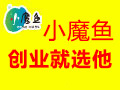 小魔魚養生堂