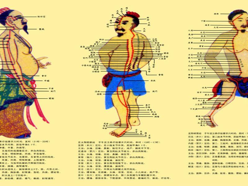 子午流注亞健康調理