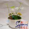木槿花阿凡達蘑菇感應燈