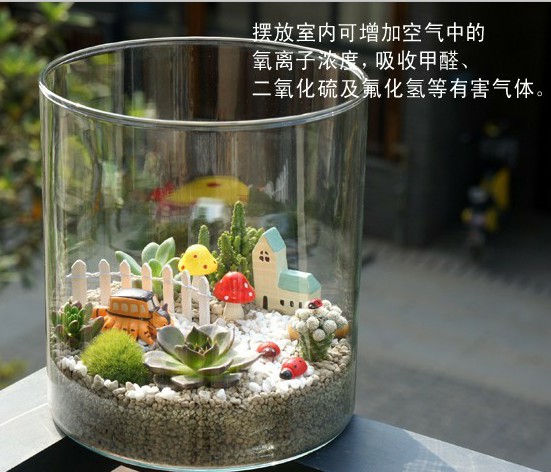 美格生態桌寵