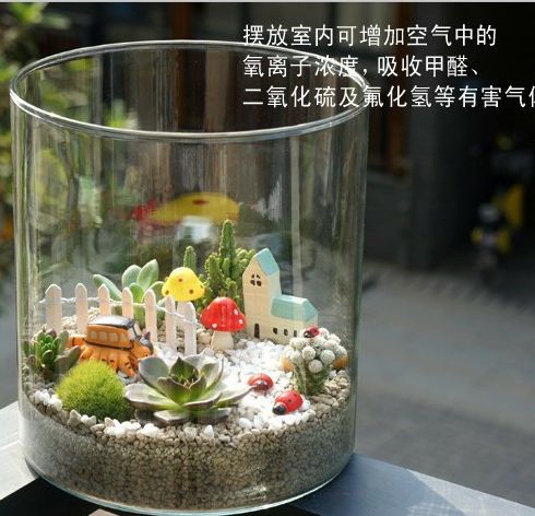 美格生態桌寵