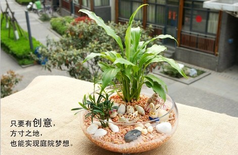 美格生態桌寵