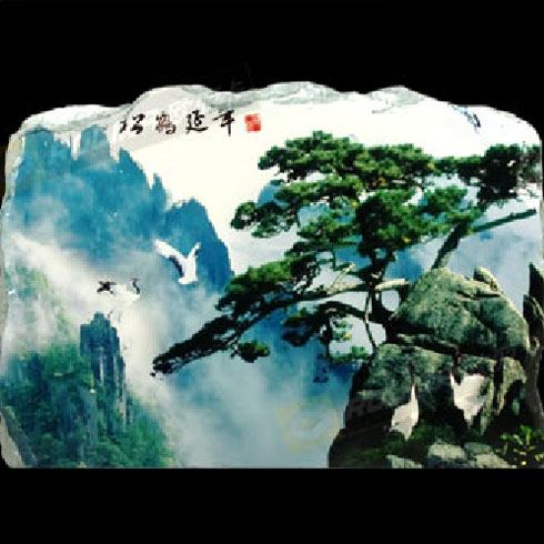 歐麗卡數碼影像