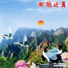 紅果棠藝術墻暖q1 (2)