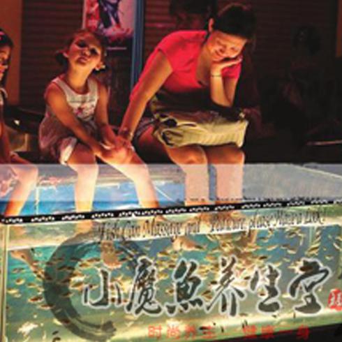 小魔魚養生堂項目