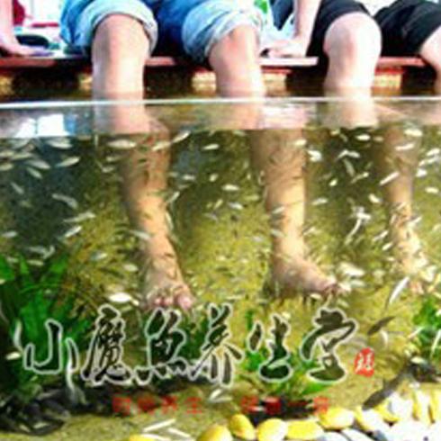 小魔魚spa養生會所