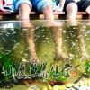 小魔魚spa養生會所