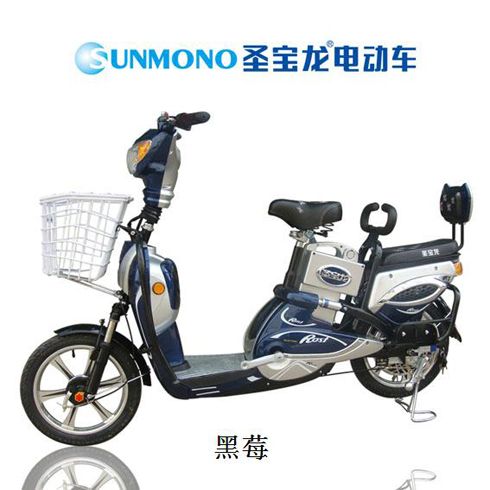 圣寶龍電動車產品-圣寶龍黑莓電動車
