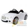 新寵兒童車產品-電機驅動玩具車