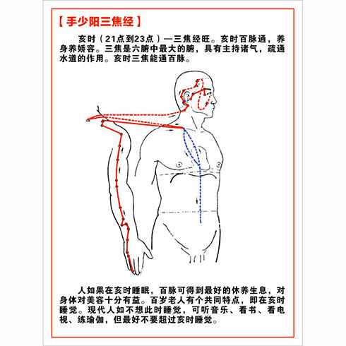 手少陽三焦經