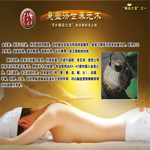 懸壺濟世養元術