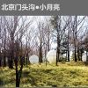 茱迪球形養生屋