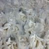 游龍面疙瘩產品