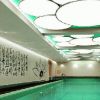 新奇特快養生墻藝-天花吊頂系列