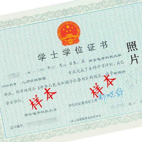 智奧學士學位證書