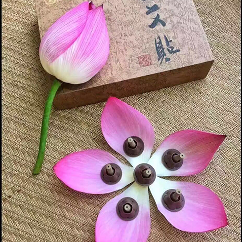 艾艾貼養生
