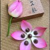 艾艾貼養生