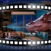 時代風影視娛樂3D影視