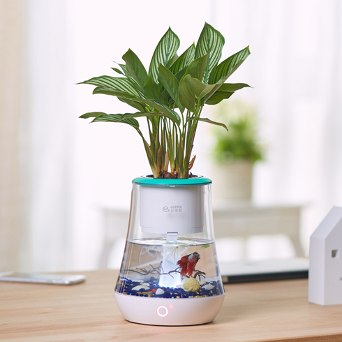 宜植愛養魚機懶人種值