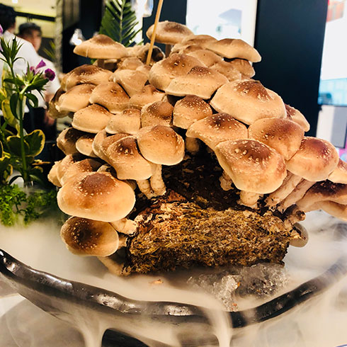 腩潮鮮牛腩火鍋-養生菌類