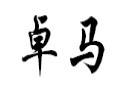 卓馬女裝